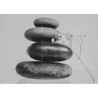 IXXI Balanced Zen, Sander van Laar - 140 x 100 cm - Gratis ophangtool - Grote wanddecoratie en posters - Minimalisme, Fotografie, Woonkamer