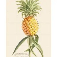 IXXI Ananas 2, Aster Edition - 80 x 100 cm - Grote wanddecoratie en posters - Decoratieve kunsten, Illustraties, Klassiek, Vintage, Naturalisme