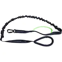 Axaeco 4 Season Jogging Leash