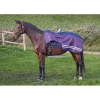 Harry's Horse Uitrijdeken Waterdicht 0gr Fleece WI24