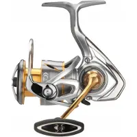 Daiwa Freams LT 3000D-C Molen - Licht, Sterk & Soepel