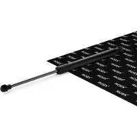 RIDEX 219G1559 Gasveer achterklep