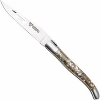 Laguiole En Aubrac Abalone Shell, Brushed Stainless Steel, zakmes, 12 cm