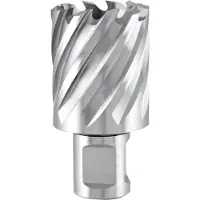 RUKO Hss-co 5 Weldon Ø 40 Mm Holle Boor