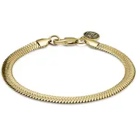 Lucleon Essentials | 6 mm Goudkleurige Armband met Visgraatschakels