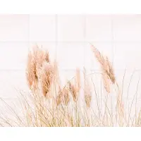 IXXI Pampas Grass, Ingrid Beddoes - 100 x 80 cm - Gratis ophangtool - Grote wanddecoratie en posters - Fotografie, Minimalisme, Slaapkamer, Woonkamer