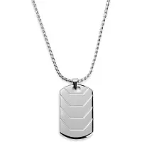 Lucleon Icarus Rayder Stalen Dogtagketting