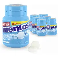 Mentos Kauwgom Mighty Mint Bottle (6x42 stuks)
