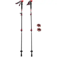 Rock Experience Carbon 2.0 Stokken Zilver 62-135 cm Man,Vrouw