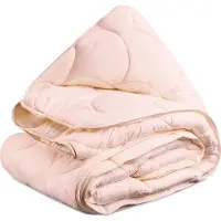 Decoware Dekbed zonder Overtrek 200x200 cm - Solid Color - Roze - Hoesloos Dekbed Wasbaar - Microvezel - All Season - Tweepersoons