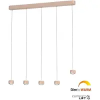 Freelight Hanglamp Cosmo 5 lichts L 120 cm comfortlift beige