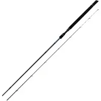 Mikado Darkstar Sensitive Carpfishing Rod Zilver 3.30 m / 40 g