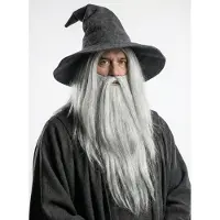 Metamorph Grijze tovenaarspruik & baard