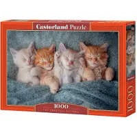 Castorland The Sweetest Kittens Puzzel (1000 stukjes)