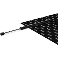 RIDEX 219G1272 Gasveer achterklep
