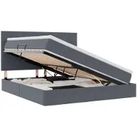 vidaXL Opslag bed met matras Donkergrijs 180 x 200 cm Fluweel