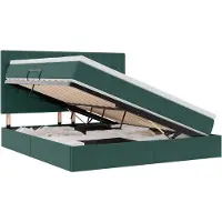 vidaXL Opslag bed met matras Donkergroen 160 x 200 cm Fluweel