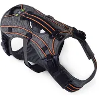 EQDOG Hondentuig Pro Harness Oranje Maat L
