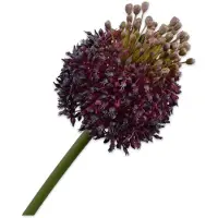 Silk-ka Kunstbloem-Zijden Bloem Distel Steel Paars-Groen 87 cm