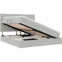 vidaXL Opslag bed met matras Lichtgrijs 180 x 200 cm Fluweel