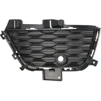 BLIC 6502-07-3209913P Ventilatiegrille, bumper