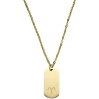 Lucleon Goudkleurige Stalen Ketting met Sterrenbeeld Ram