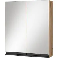 Vicco Torren Badkamerspiegelkast – 60 x 70 cm Ambachtelijk