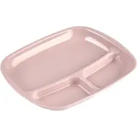 PlasticForte vakjes diner borden - roze - kunststof - 21 x 24 cm - 3 vakken - bbq en camping
