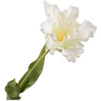 Silk-ka Kunstbloem-Zijden Bloem Tulp Steel Wit-Geel 71 cm