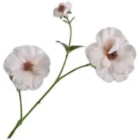 Silk-ka - Kunstbloem - creme - H72 cm - 2 stuks