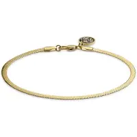 Lucleon Essentials | 3 mm Goudkleurige Armband met Visgraatschakels