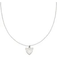 Yehwang Leopard bedel ketting - Zilver - Tijger kop kettinkje van roestvrij staal - Zilveren sieraden voor dames - Luipaard - RVS - Stainless steel - Nikkelvrij - Roestvrij stalen