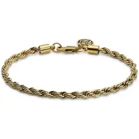 Lucleon Essentials | 4 mm Goudkleurige Armband met Gedraaide Schakels