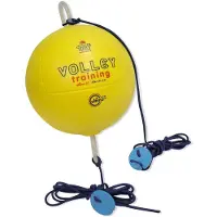 Trial Volleybal Training