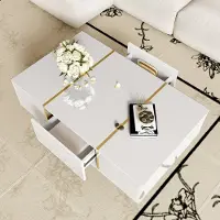 OKWISH Salontafel - Hoogglans - Woonkamer - Wit Met Goudkleurige Metaalaccenten - 100×60×41,5 Cm - 2 Lades