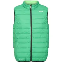 Regatta Heren Marizion Gewatteerd Gilet (Veldgroen/Jasmijngroen)
