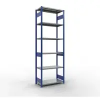 Schulte Lagertechnik MULTIplus250 rekken zonder schroeven, basisrek, B 1000 x D 500 x H 3000 mm, staal, RAL 5010 gentiaanblauw/verzinkt
