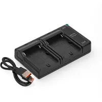 123accu Sony NP-F550 / NP-F750 / NP-F970 USB-C double slot oplader (huismerk)