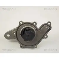 TRISCAN 8600 10014 Waterpomp