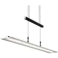 B.K.Licht Hanglamp Tick, dimbaar, zwart, Woon-/ Eetkamer, Glas, Modern, hanglamp