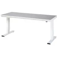 RAU werktafel Adlatus, elektrisch in hoogte verstelbaar, 25 mm spaanplaat, bekleding linoleum, tot 300 kg, B 2000 x D 800 x H 720-1120 mm, lichtgrijs/lichtgrijs