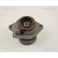 TRISCAN 8600 29018 Waterpomp