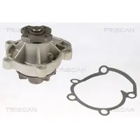 TRISCAN 8600 65336 Waterpomp