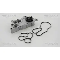 TRISCAN 8600 29060 Waterpomp