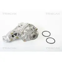 TRISCAN 8600 29022 Waterpomp