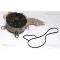 TRISCAN 8600 13053 Waterpomp