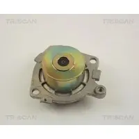 TRISCAN 8600 15120 Waterpomp