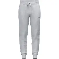 Björn Borg Sportbroek 'ESSENTIAL 1' lichtgrijs