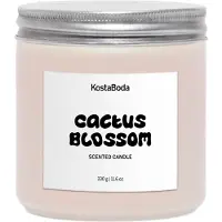 Kosta Boda Mind geurkaars Cactus Blossom, 330 g