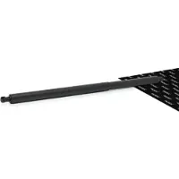 RIDEX 219G1558 Gasveer achterklep